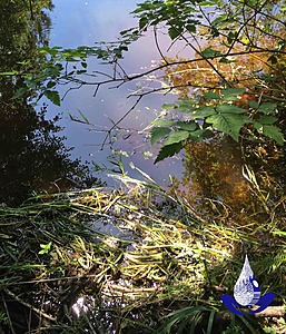 Ssifwc+water+body+img 1617+with+wps+fwc+logo+wrcrop
